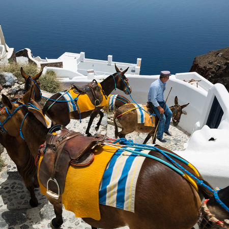 Picture for category Activities